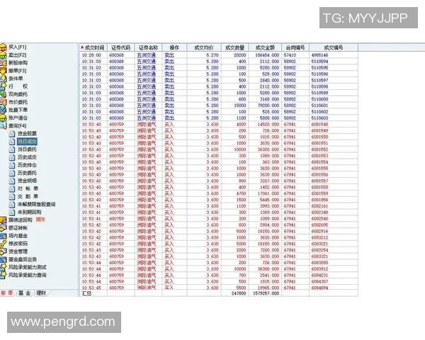 重庆与武汉排球队赛后复盘分析比赛节奏与战术对比